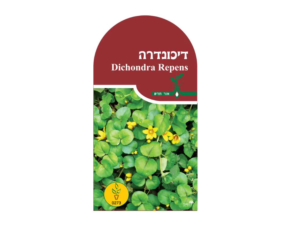תמונה ממוזערת 1