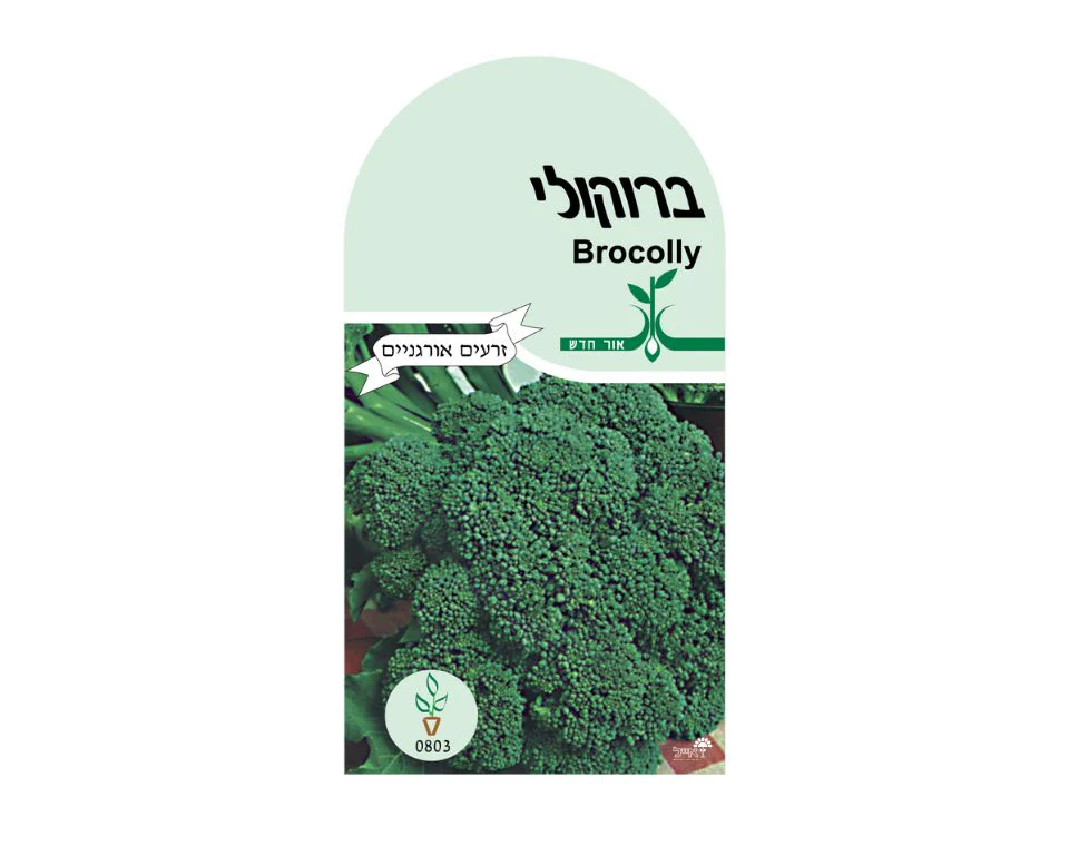 תמונת מוצר 1