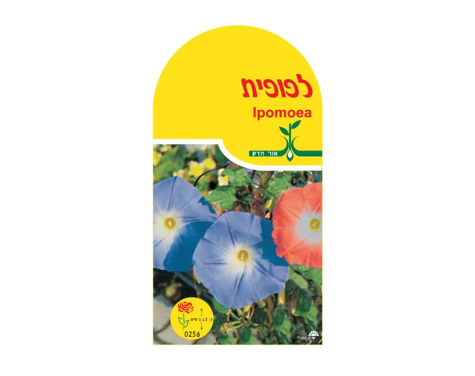 תמונת מוצר 1