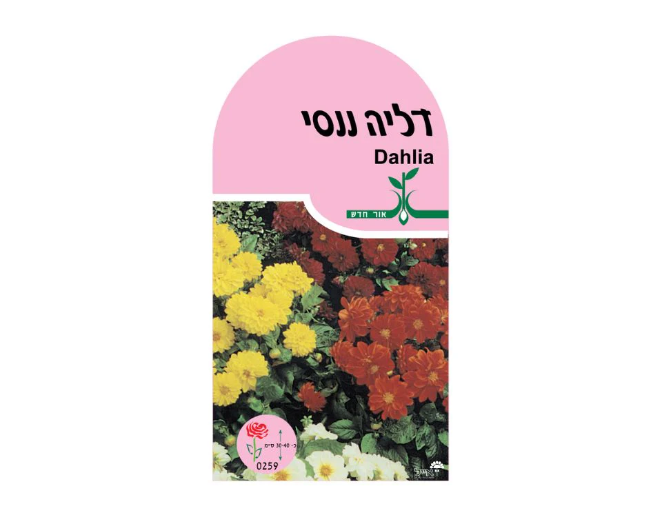 תמונת מוצר 1