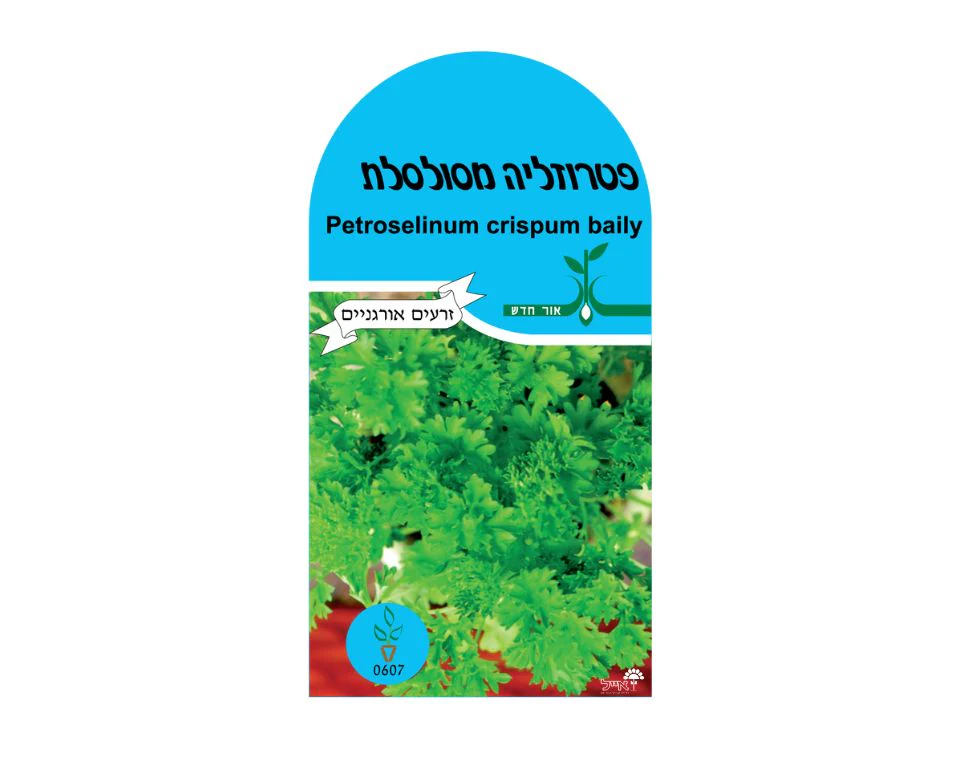 תמונת מוצר 1