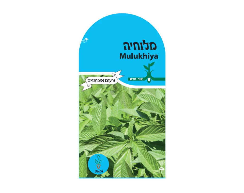 תמונת מוצר 1