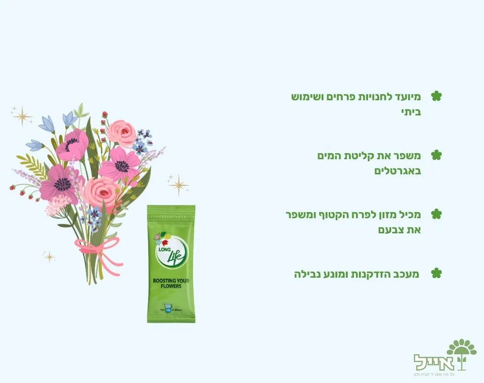 תמונה ממוזערת 2