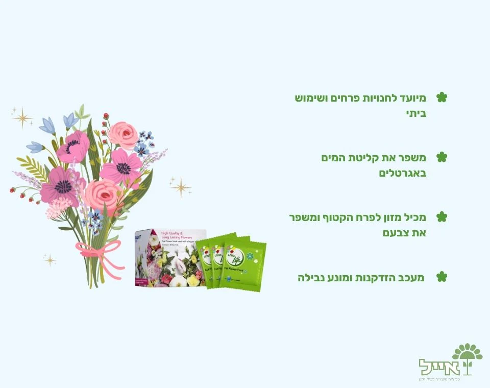 תמונה ממוזערת 2
