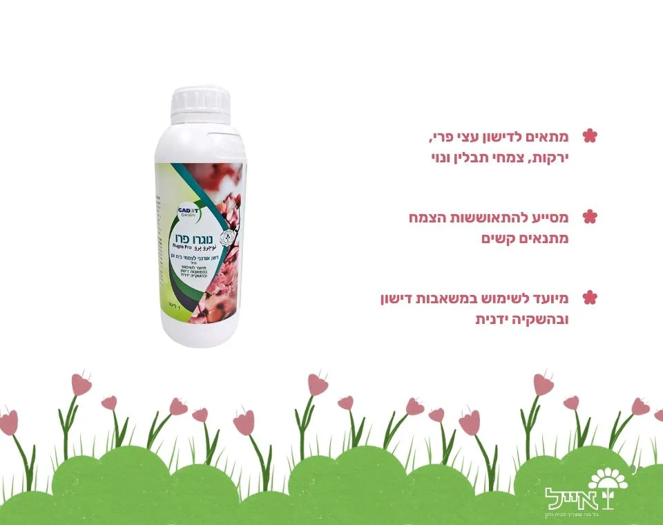 תמונת מוצר 2