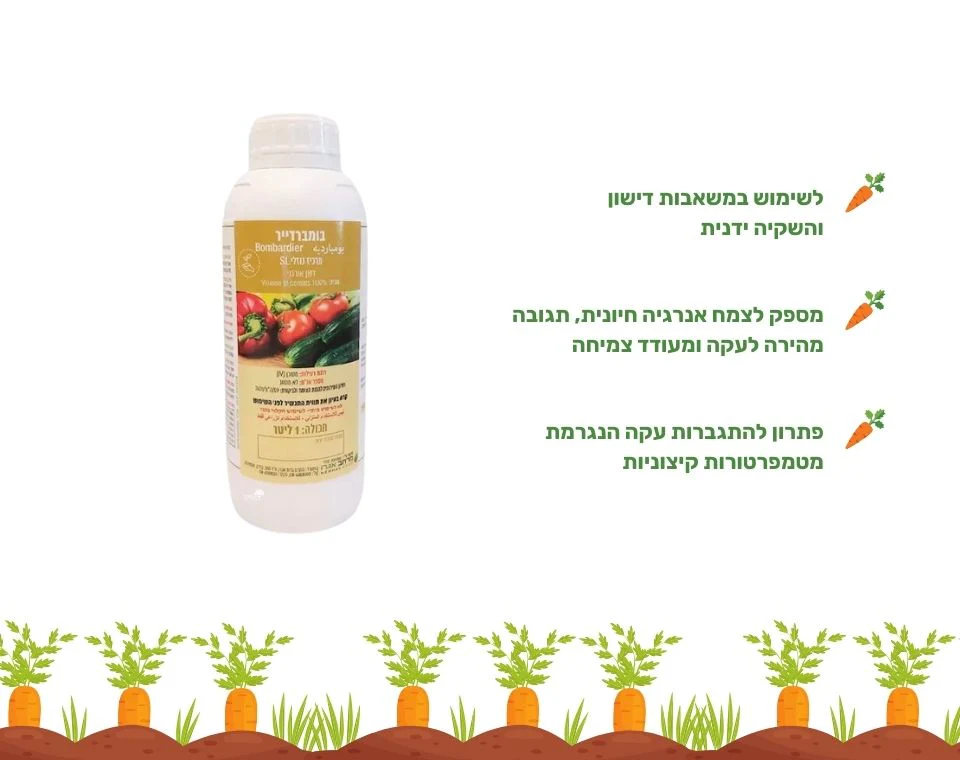 תמונה ממוזערת 2
