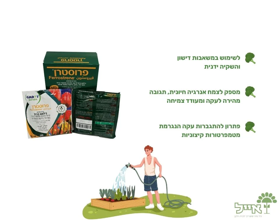 תמונת מוצר 2