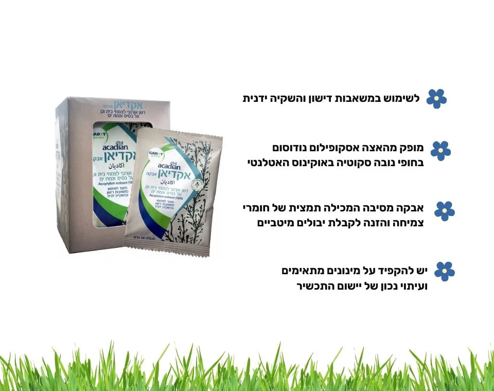 תמונת מוצר 4