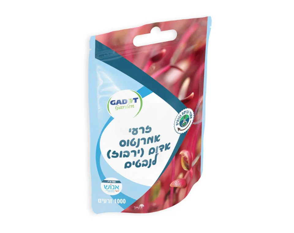 תמונת מוצר 1