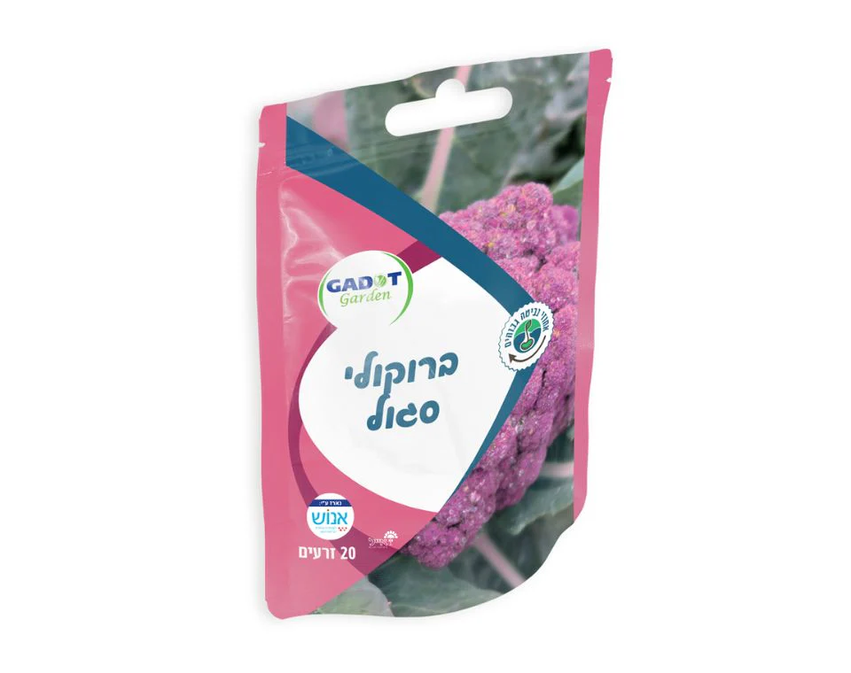 תמונת מוצר 1