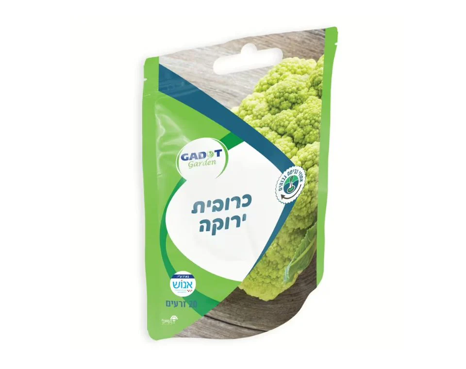 תמונת מוצר 1