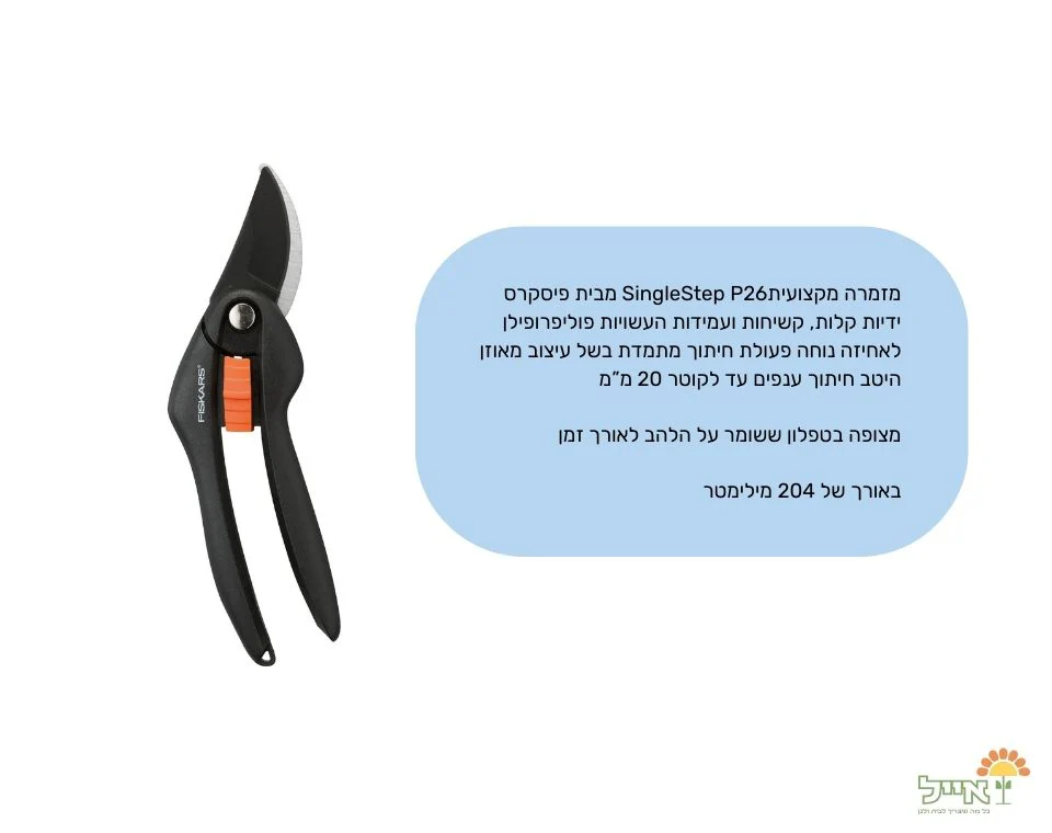 תמונת מוצר 2