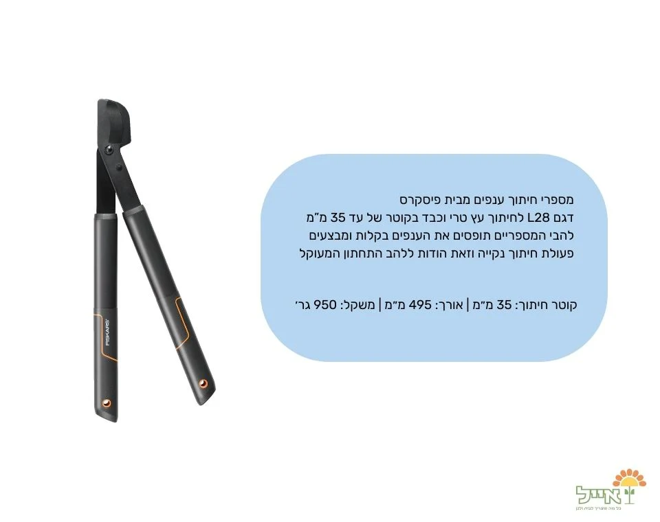 תמונת מוצר 2