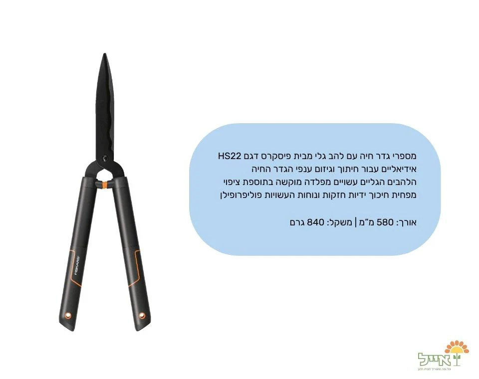 תמונת מוצר 2