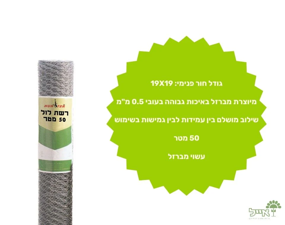 תמונת מוצר 3