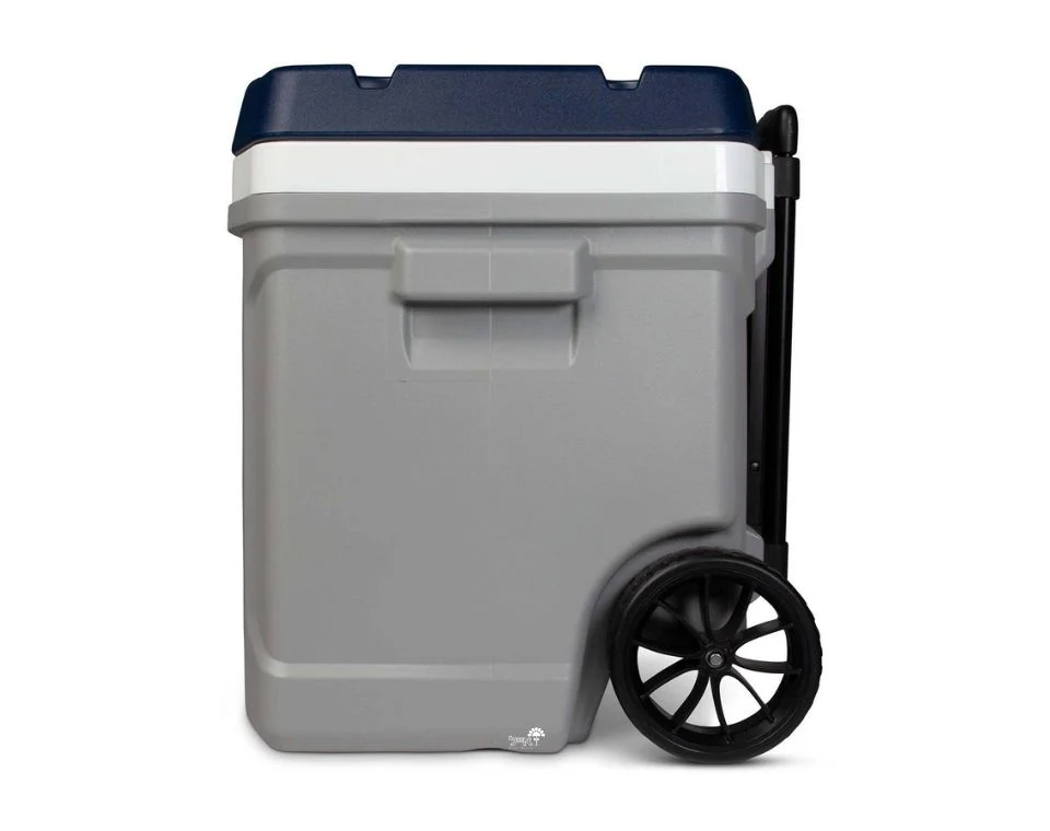 תמונת מוצר 5