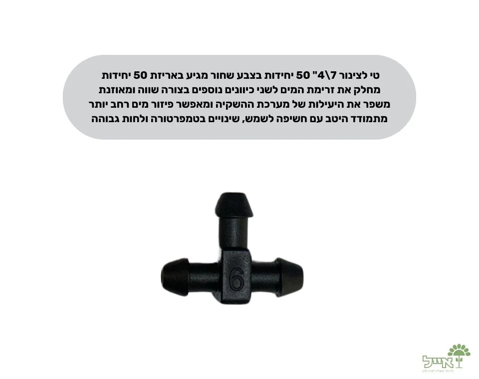 תמונת מוצר 2