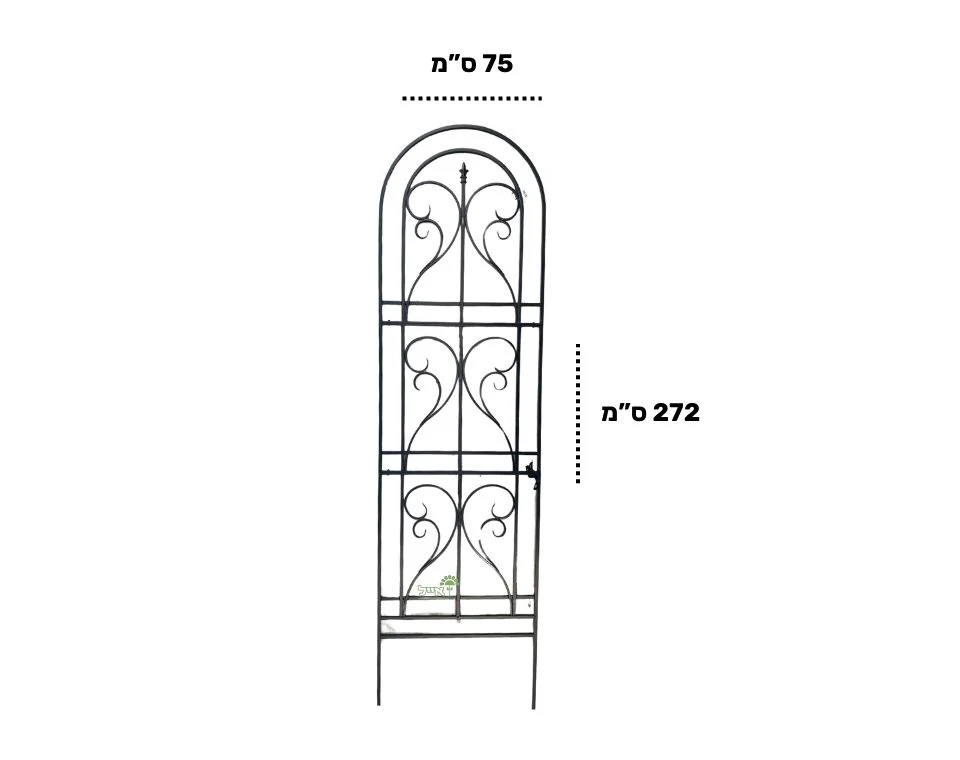 תמונת מוצר 2