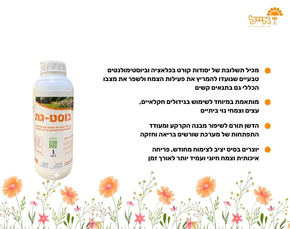 תמונה ממוזערת 2
