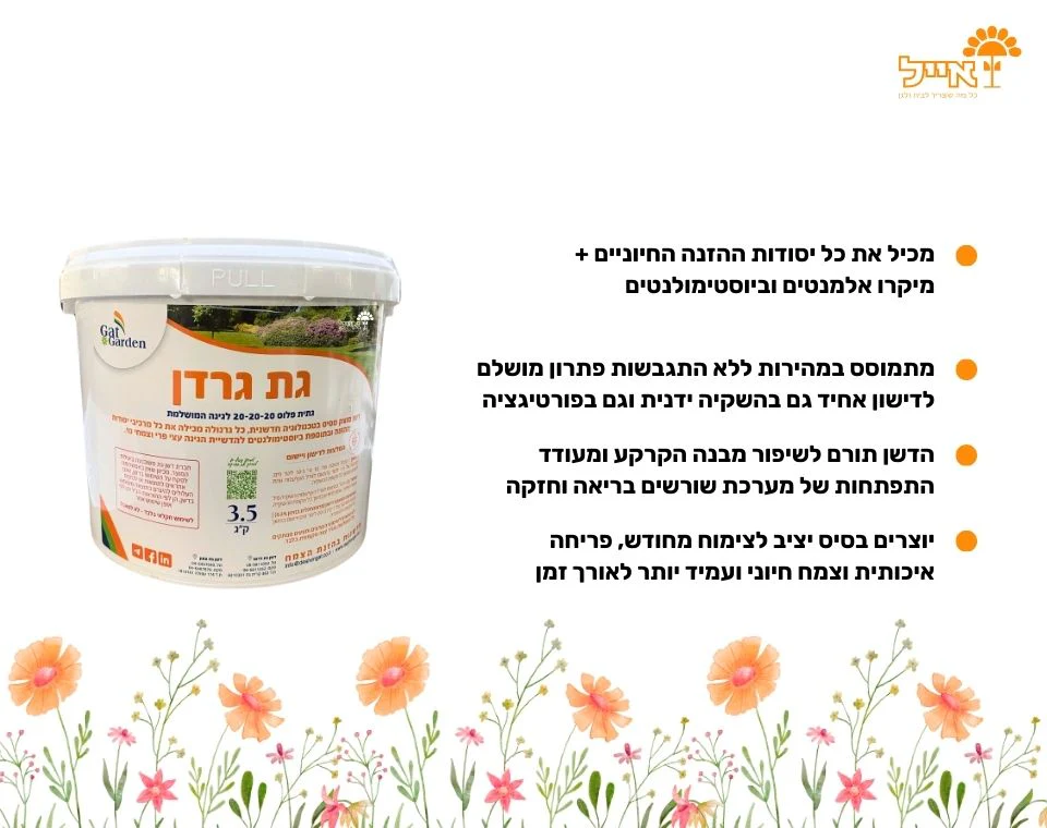 תמונת מוצר 2