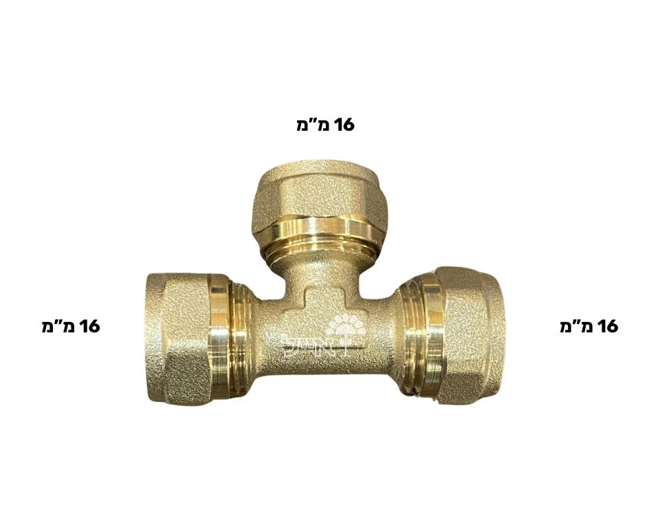 תמונה ממוזערת 2