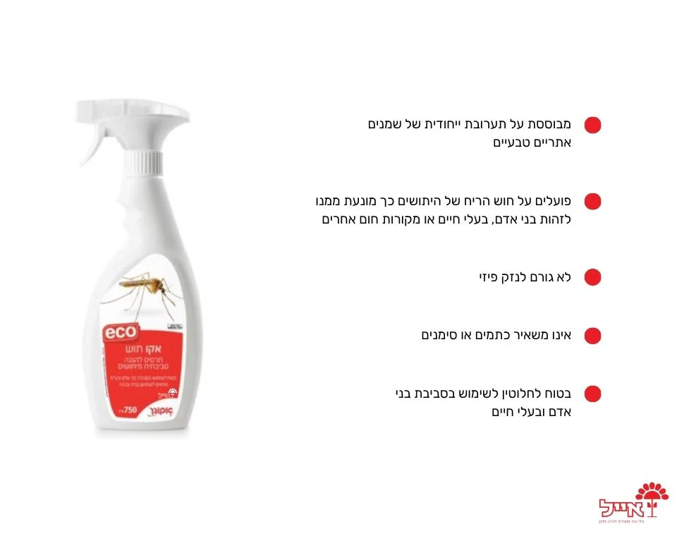 תמונה ממוזערת 2