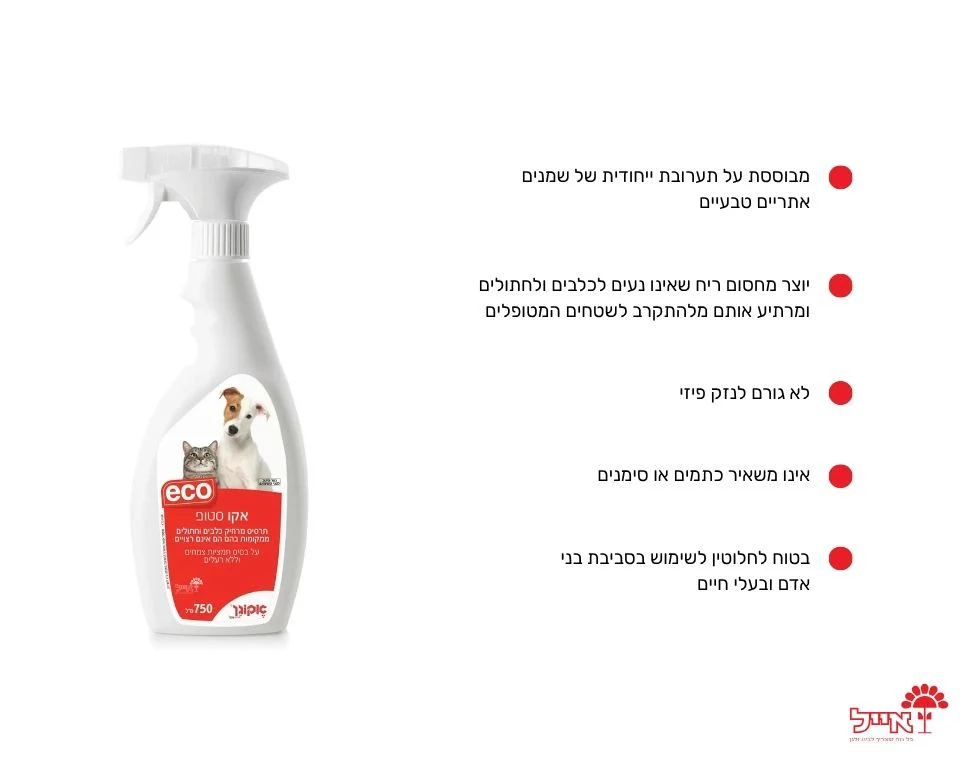 תמונה ממוזערת 2