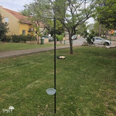 תמונה ממוזערת 2