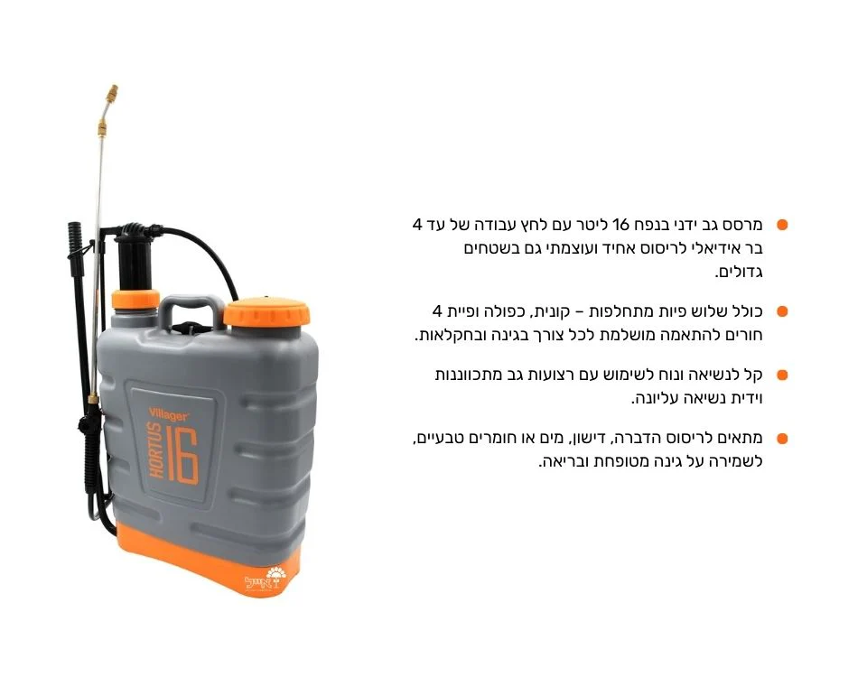 תמונה ממוזערת 2