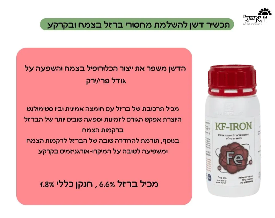 תמונת מוצר 2