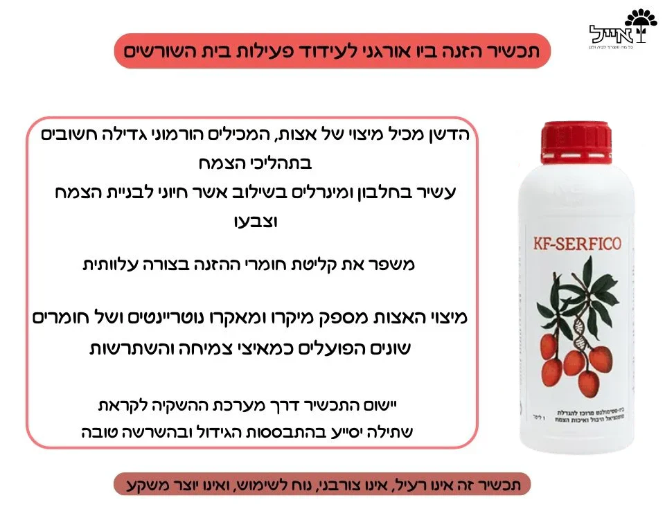 תמונת מוצר 2